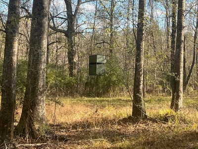 Unique Recreational Tract in SW MS with 6 Ponds - image 14