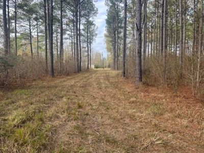 Unique Recreational Tract in SW MS with 6 Ponds - image 32