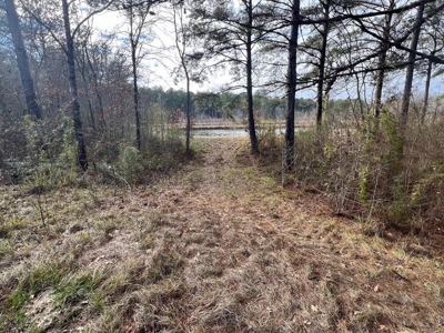Unique Recreational Tract in SW MS with 6 Ponds - image 31