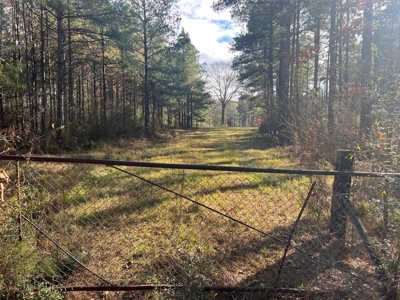 Unique Recreational Tract in SW MS with 6 Ponds - image 9