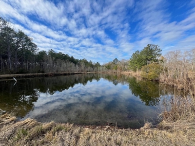 Unique Recreational Tract in SW MS with 6 Ponds - image 27