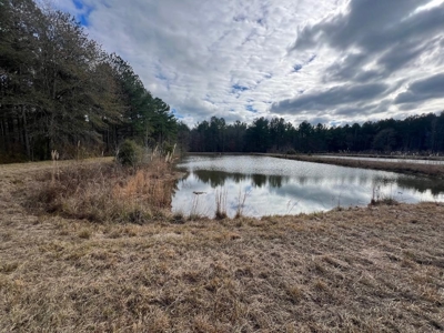 Unique Recreational Tract in SW MS with 6 Ponds - image 24