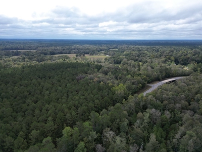 Unique Recreational Tract in SW MS with 6 Ponds - image 19