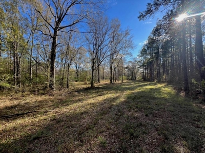 Unique Recreational Tract in SW MS with 6 Ponds - image 13