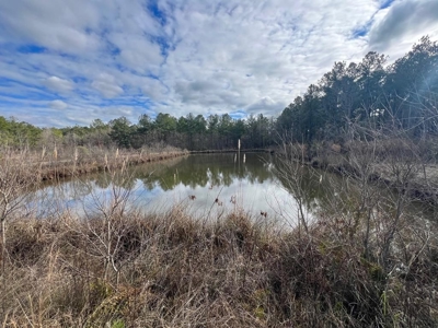 Unique Recreational Tract in SW MS with 6 Ponds - image 26