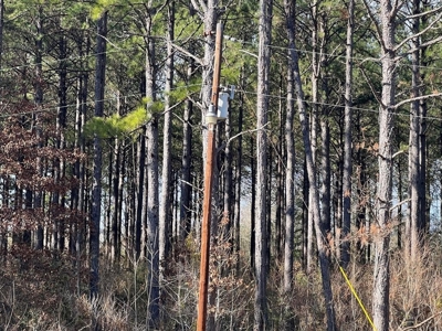 Unique Recreational Tract in SW MS with 6 Ponds - image 11