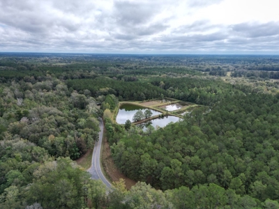 Unique Recreational Tract in SW MS with 6 Ponds - image 18