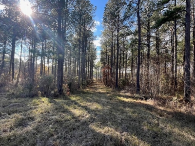 Unique Recreational Tract in SW MS with 6 Ponds - image 34