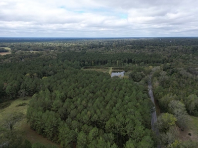 Unique Recreational Tract in SW MS with 6 Ponds - image 17