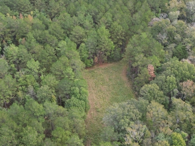 Unique Recreational Tract in SW MS with 6 Ponds - image 16