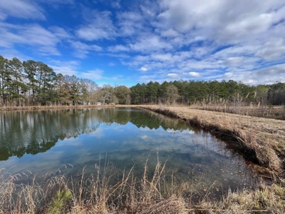 Unique Recreational Tract in SW MS with 6 Ponds - image 23
