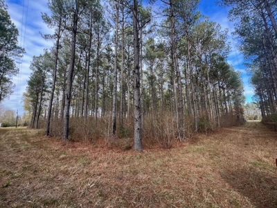 Unique Recreational Tract in SW MS with 6 Ponds - image 33