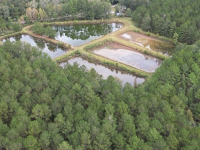 Unique Recreational Tract in SW MS with 6 Ponds - image 15