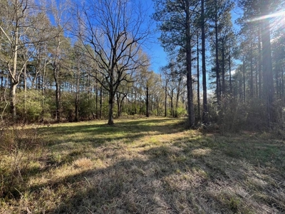 Unique Recreational Tract in SW MS with 6 Ponds - image 29
