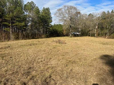 Unique Recreational Tract in SW MS with 6 Ponds - image 12