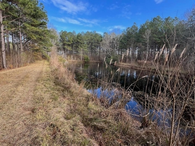 Unique Recreational Tract in SW MS with 6 Ponds - image 28