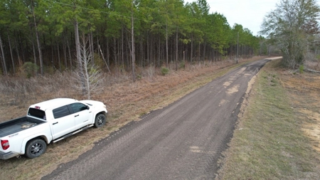 Hunting Land for Sale in Amite County - image 13