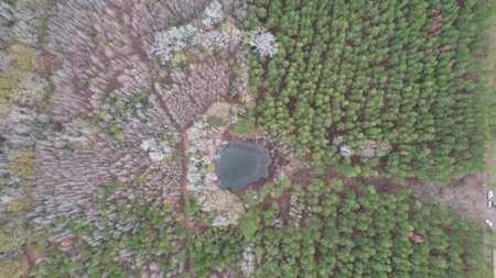 Hunting Land for Sale in Amite County - image 11