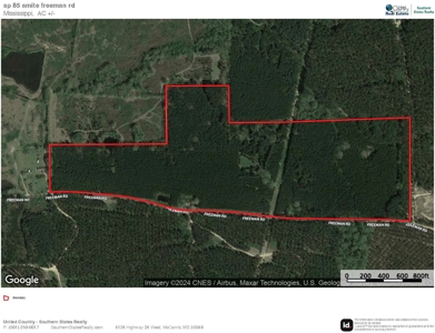 Hunting Land for Sale in Amite County - image 49