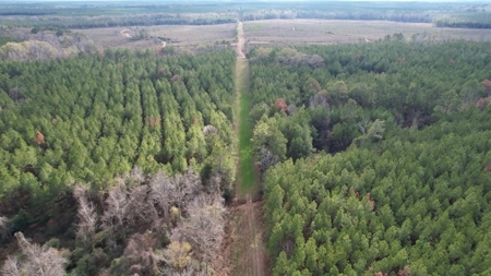Hunting Land for Sale in Amite County - image 26