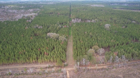 Hunting Land for Sale in Amite County - image 20