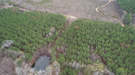 Hunting Land for Sale in Amite County - image 7
