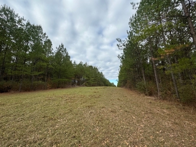 Hunting Land for Sale in Amite County - image 42