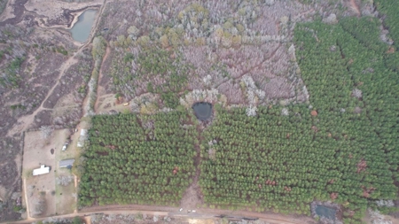 Hunting Land for Sale in Amite County - image 3