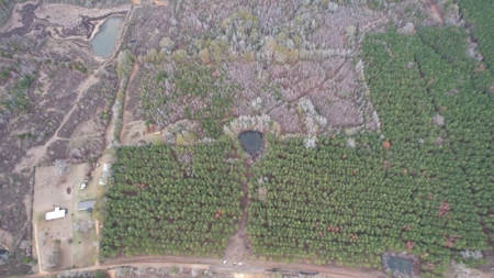 Hunting Land for Sale in Amite County - image 4