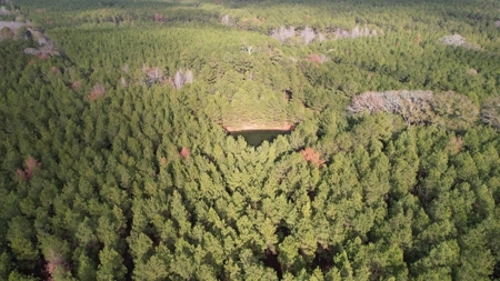 Hunting Land for Sale in Amite County - image 27