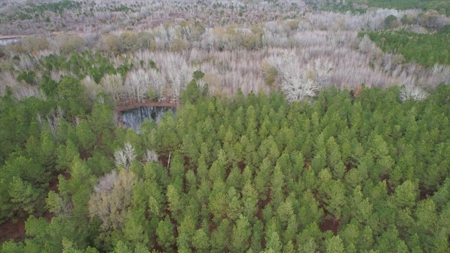 Hunting Land for Sale in Amite County - image 16
