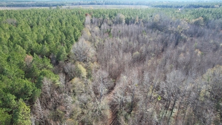 Hunting Land for Sale in Amite County - image 30