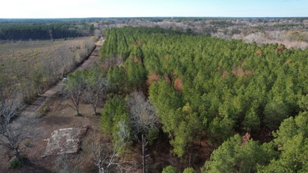 Hunting Land for Sale in Amite County - image 28