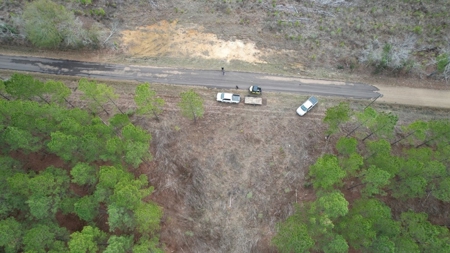 Hunting Land for Sale in Amite County - image 6