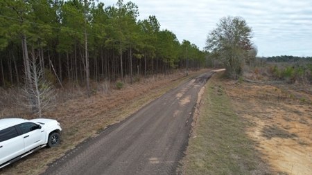 Hunting Land for Sale in Amite County - image 14