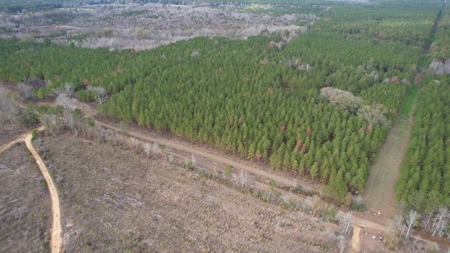 Hunting Land for Sale in Amite County - image 21