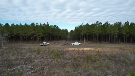 Hunting Land for Sale in Amite County - image 15