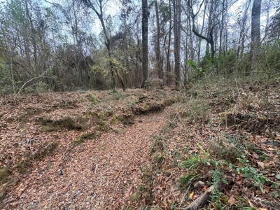 Hunting Land for Sale in Amite County - image 39