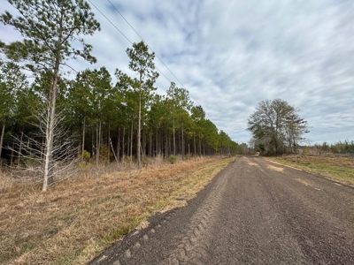 Hunting Land for Sale in Amite County - image 32