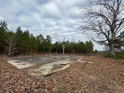 Hunting Land for Sale in Amite County - image 45