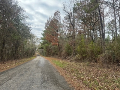 Hunting Land for Sale in Amite County - image 38