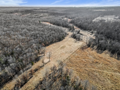 South Central Missouri Ozarks Cattle Farm and Home - image 42