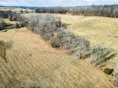 South Central Missouri Ozarks Cattle Farm and Home - image 35