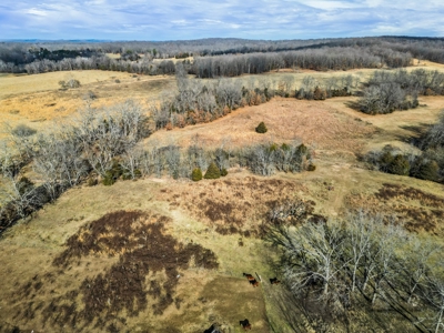 South Central Missouri Ozarks Cattle Farm and Home - image 28