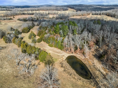 South Central Missouri Ozarks Cattle Farm and Home - image 31