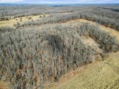 South Central Missouri Ozarks Cattle Farm and Home - image 41