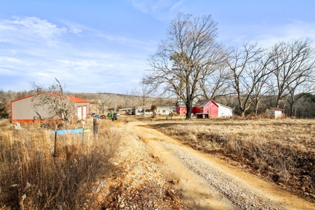 South Central Missouri Ozarks Cattle Farm and Home - image 20