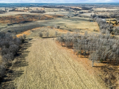 South Central Missouri Ozarks Cattle Farm and Home - image 39