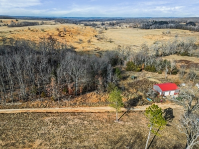 South Central Missouri Ozarks Cattle Farm and Home - image 26