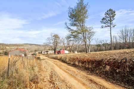 South Central Missouri Ozarks Cattle Farm and Home - image 21